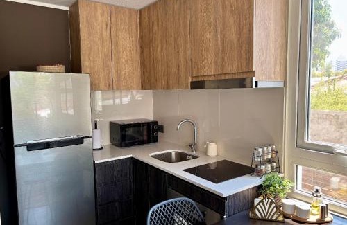 Nunoa Apartamento | Encantador e Iluminado Departamento, Ñuñoa