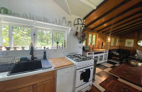 Napanoch Cabina | Enchanted 2 bedroom, x-lake cabin with mountain views. Fast WFYI , Napanoch.