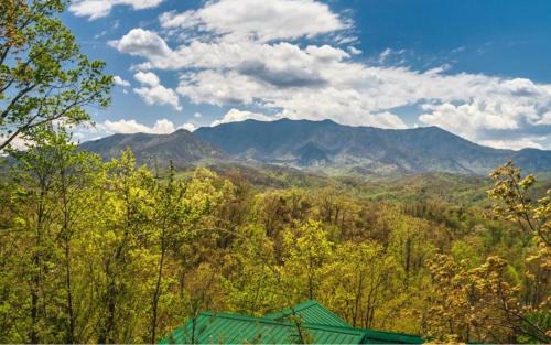Black Bear Falls Casa | Enchanted View Lodge cabin