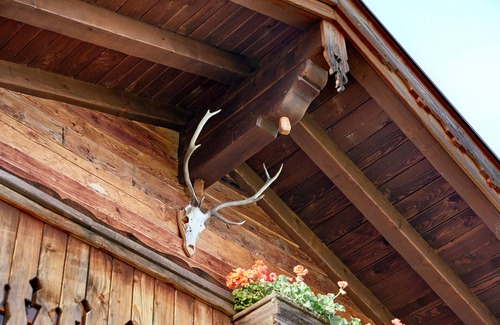 Hundsdorfl Chalet De Esquí | Almchalet rústico de 4 * para 4-6 personas cerca del pueblo de Flachau