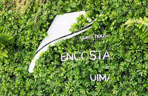 Caldas de Sao Jorge Apartamento | Encosta do Uíma - Guest House