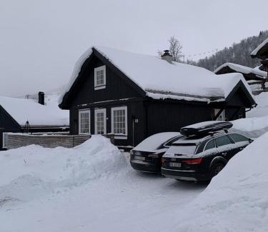 Rauland Casa | Endely - ski inn/ut