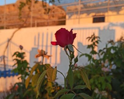 Stegna Casa | Endless Blue Stegna