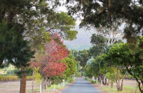 Bot River Casa | Endless Vineyards at Wildekrans Wine Estate