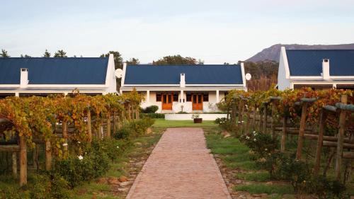 Bot River Casa | Endless Vineyards at Wildekrans Wine Estate