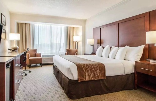 Cow Hollow Casa | Enjoy a great night's rest in the heart of the city!