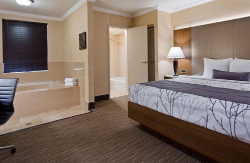 Hollywood Hotel | Enjoy Hollywood Charm from a Cozy Room Just Steps from Walk of Fame