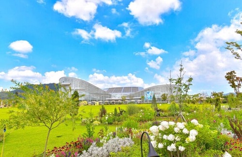 Sejong Apartamento | Enjoy korea with good familly. we love sharing each different cultures.