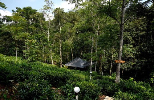 Peermade Villa | Enrich Your Soul