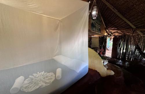 Corn Island Otro | Ensueños Natural Suites