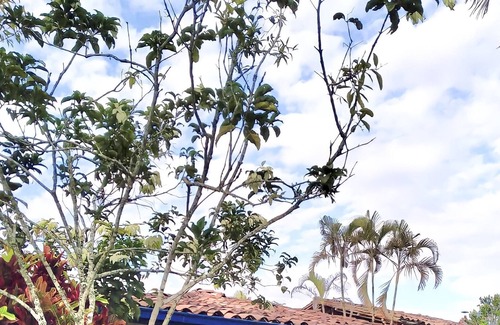 Quimbaya Casa | Entire 5 bedroom Country House in the Heart of the Colombian Coffee area