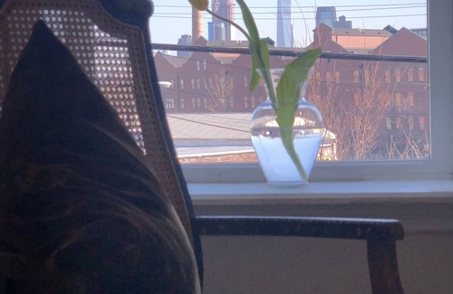 Communipaw Casa | Entire Brownstone Duplex 3 BR/2 Bath 15 minutes to NYC