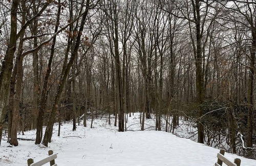 Long Pond Chalet De Esquí | Entire Cozy Pocono Chalet with fireplace, Firepit BBQ and games