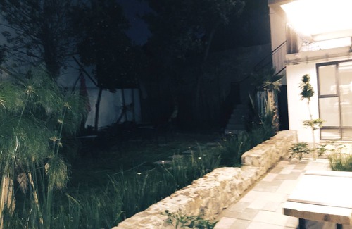 Del Valle Apartamento | Lugar completo en Coyoacán en la ciudad de México (admite mascotas)