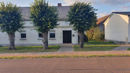 Milow Apartamento | Entspanntes Wohnen Deibow