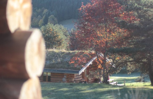 Fay-sur-Lignon Cabaña | Abeto en Pays du Mézenc, cabaña de troncos en el corazón de la naturaleza Auvergnate