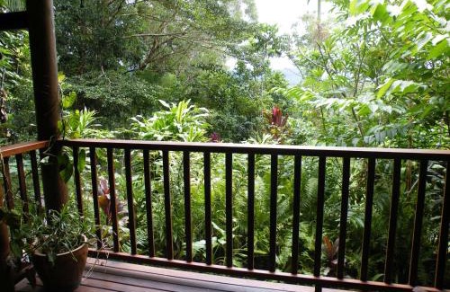 Cow Bay Cama Y Desayuno | Epiphyte B & B