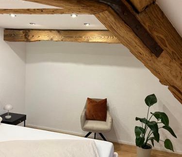 Bad Buchau Apartamento | Erholungsloft