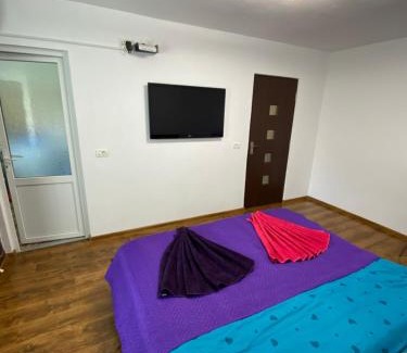 Baile Herculane Apartamento | Eric's Apartament