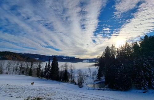 Frantschach-Sankt Gertraud Apartamento | Erlebnisbauernhof Gutschi Ranch