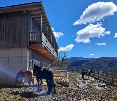 Frantschach-Sankt Gertraud Apartamento | Erlebnisbauernhof Gutschi Ranch