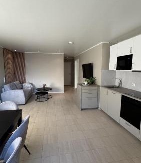Ersfjordbotn Apartamento | Ersfjord Villa Apt