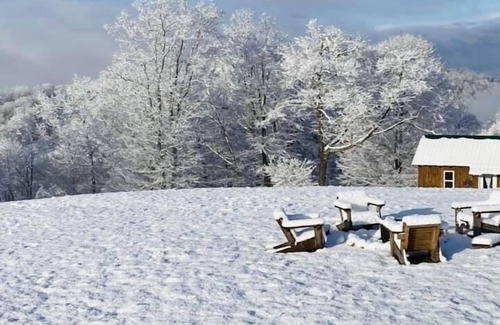 Thorn Hill Cabina | Escape life’s busyness at Bear in Mind cabin