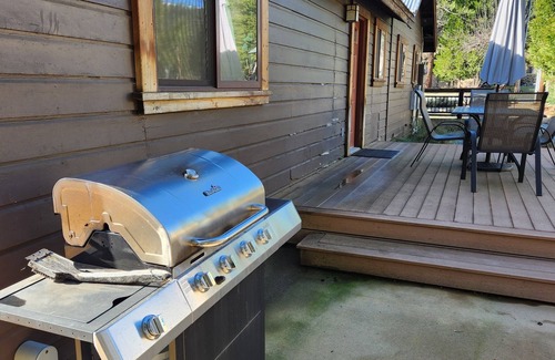 Trinity Center Condominio | Escape to Nature: Charming 3-Bedroom Cabin near Trinity Lake