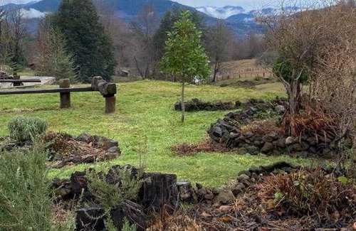 Pucon Apartamento | Espíritus del Cañi. Tiny home y destilería