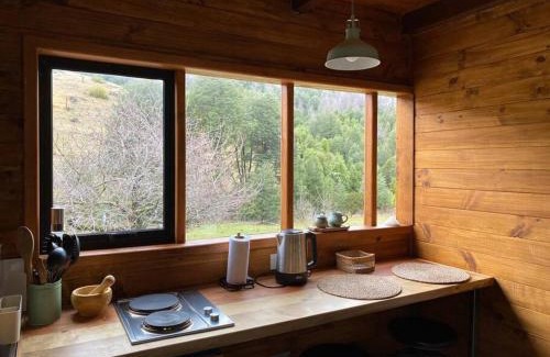 Pucon Apartamento | Espíritus del Cañi. Tiny home y destilería