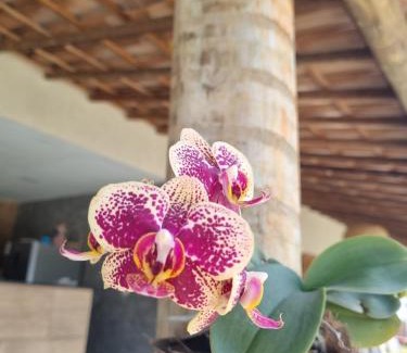 Porto da Madama Casa | Espaço Viva Flor