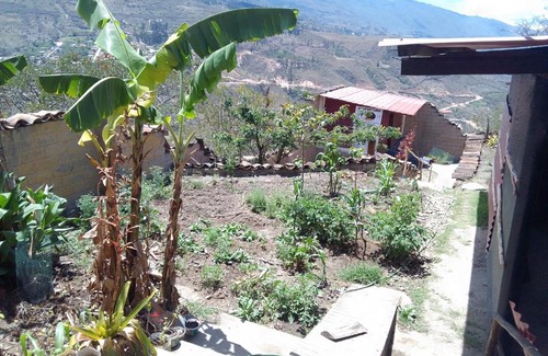 Tingo Casa | Espacio para Acampar