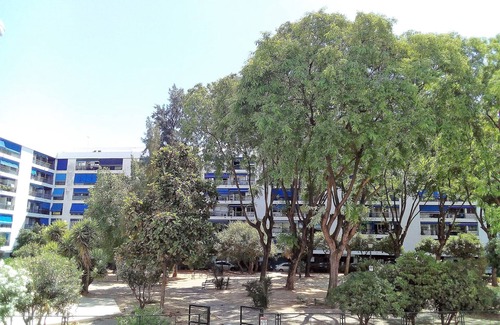Leon XIII-Los Naranjos Apartamento | Espacioso piso con terraza en la Macarena