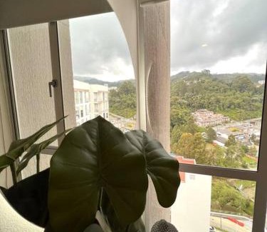 Manizales Apartamento | Espectacular vista cerca a cable plaza con Piscina