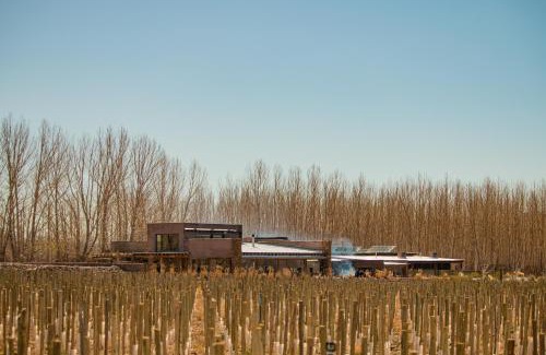 Uspallata Hotel | Estancia San Alberto Lodge