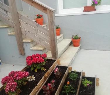 Baiona Old Town Hostal | Estela do Mar