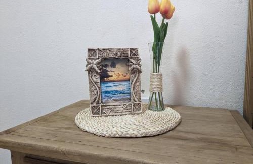 San Jose del Cabo Apartamento | Estudio Balandra cerca del aeropuerto SJD