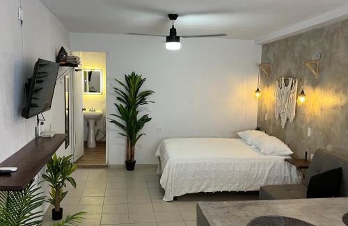 Downtown San Jose del Cabo Apartamento | Estudio céntrico con diseño industrial