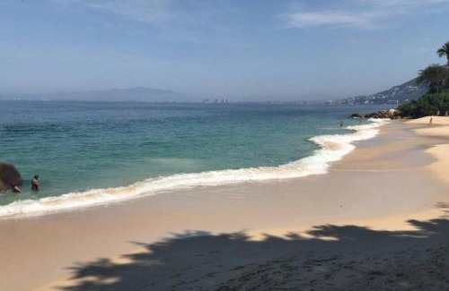South Shore Hotel Area Apartamento | Estudio Condominio, Girasol Sur, 510