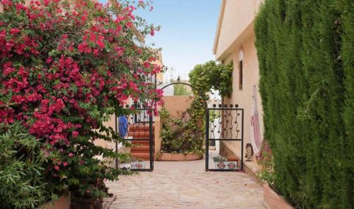 Puerto Marino Apartamento | Estudio en la playa con spa opcional