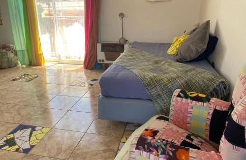 Vicuna Casa | Estudio Los Mosaicos