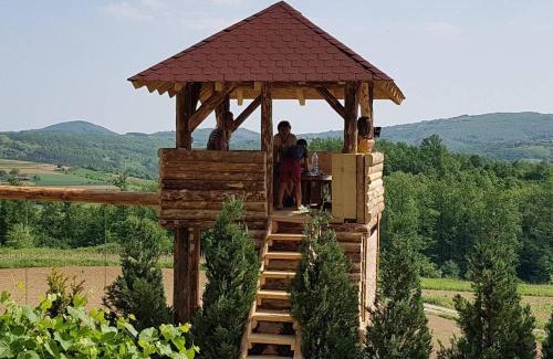 Central Serbia Casa | Etno domaćinstvo Milenković