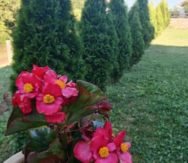 Nisava District Apartamento | Etno Dušnik