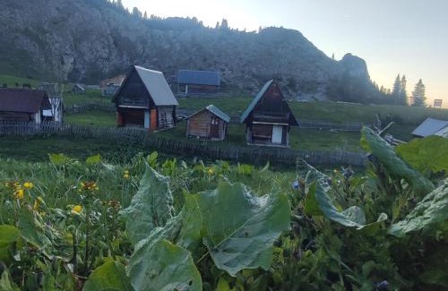Montenegro Apartamento | Etno katun Mokra 1