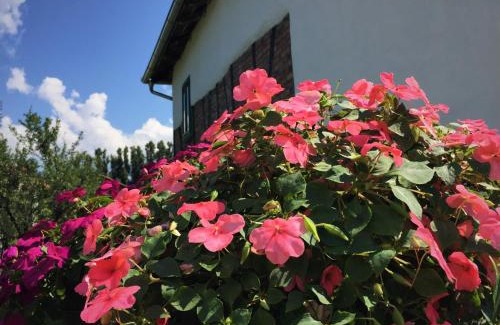 Nisava District Casa | Etno Kuća - Rakić
