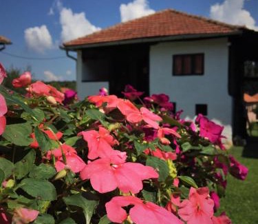 Nisava District Casa | Etno Kuća - Rakić