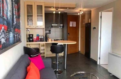 Downtown Santiago Apartamento | Aires Europeos en Santiago