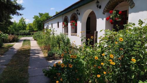 Vojvodina Casa | EVA HOUSE