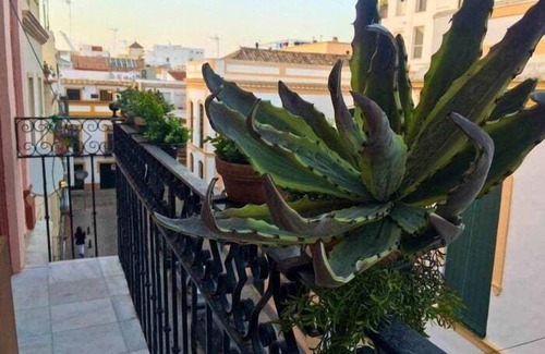 San Gil Apartamento | Eva Recommends Sentencia OutstandingSmart&Romantic