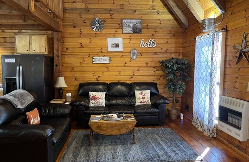 Carbon Hill Cabina | Evergreen Hideaway es una cabaña enclavada bajo altos pinos.
